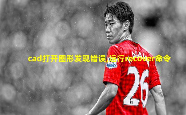 cad打开图形发现错误,运行recover命令