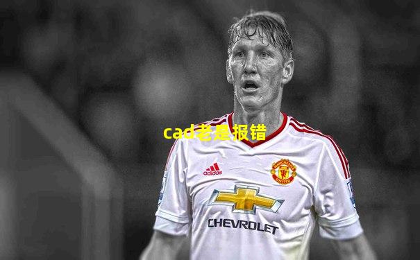 cad老是报错