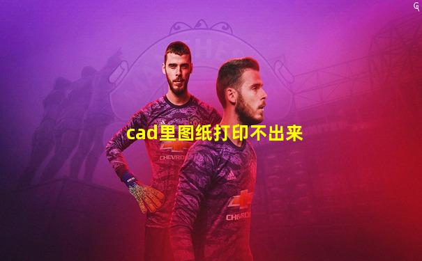 cad里图纸打印不出来