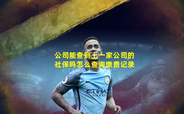 公司能查到上一家公司的社保吗怎么查询缴费记录