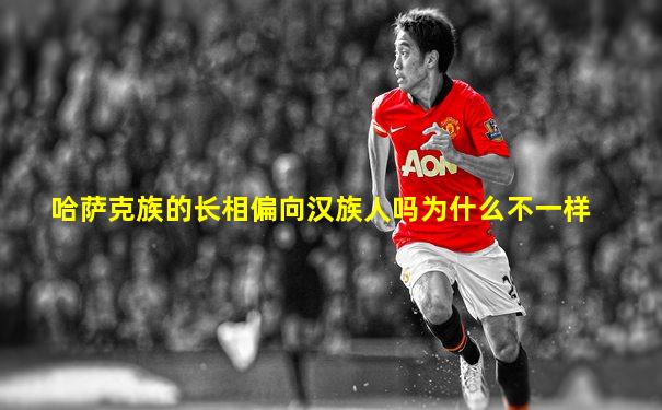 哈萨克族的长相偏向汉族人吗为什么不一样