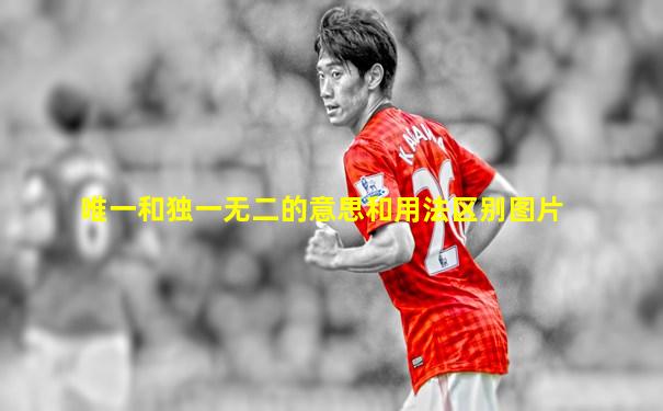 唯一和独一无二的意思和用法区别图片
