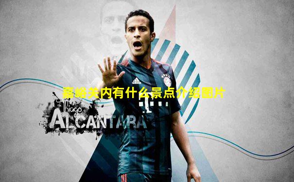 嘉峪关内有什么景点介绍图片
