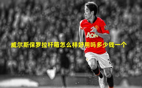 威尔斯保罗拉杆箱怎么样好用吗多少钱一个