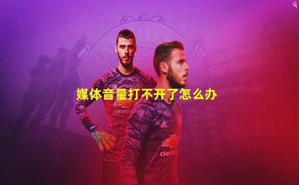 媒体音量打不开了怎么办