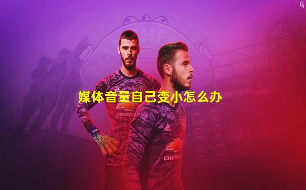 媒体音量自己变小怎么办
