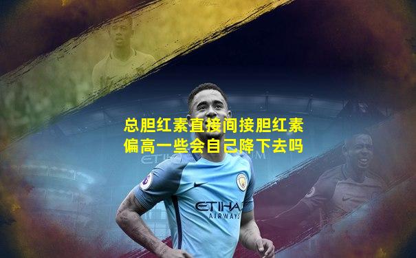 总胆红素直接间接胆红素偏高一些会自己降下去吗