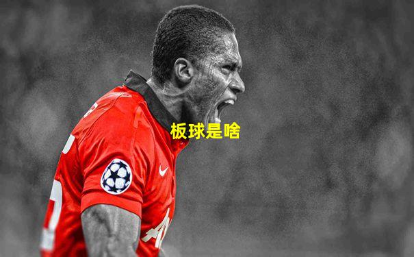 板球是啥