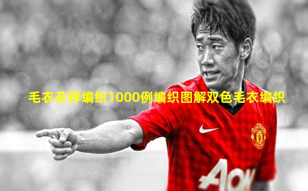 毛衣花样编织1000例编织图解双色毛衣编织
