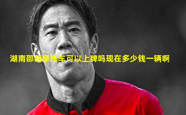 湖南邵阳摩托车可以上牌吗现在多少钱一辆啊