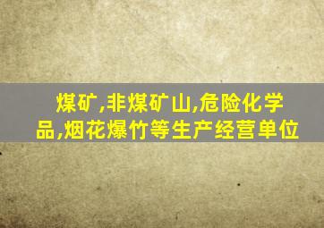 煤矿,非煤矿山,危险化学品,烟花爆竹等生产经营单位