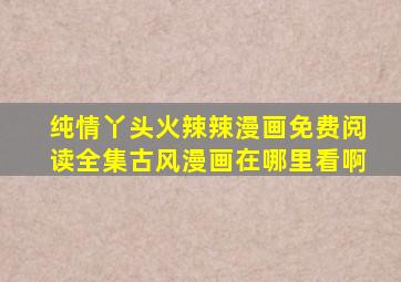 纯情丫头火辣辣漫画免费阅读全集古风漫画在哪里看啊
