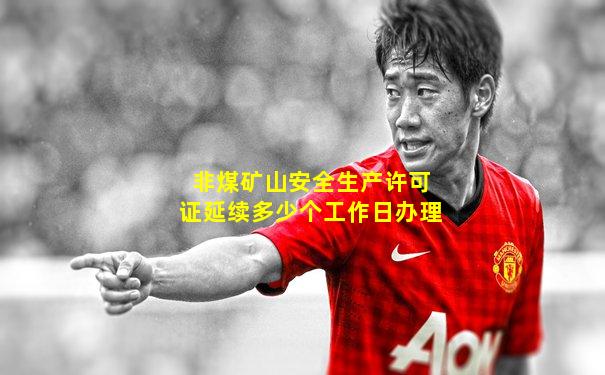 非煤矿山安全生产许可证延续多少个工作日办理