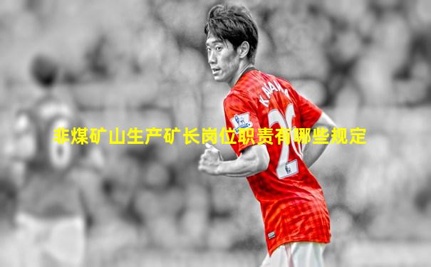 非煤矿山生产矿长岗位职责有哪些规定