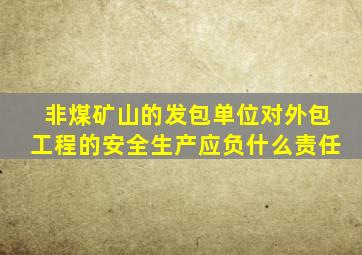 非煤矿山的发包单位对外包工程的安全生产应负什么责任