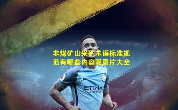 非煤矿山采矿术语标准规范有哪些内容呢图片大全