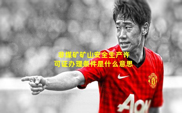非煤矿矿山安全生产许可证办理条件是什么意思