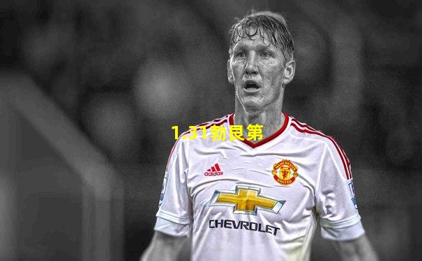 1.31勃艮第