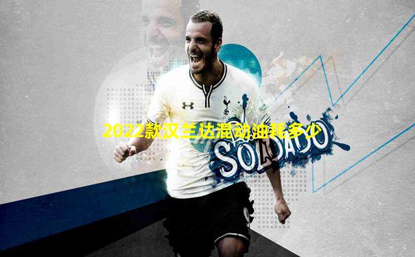2022款汉兰达混动油耗多少