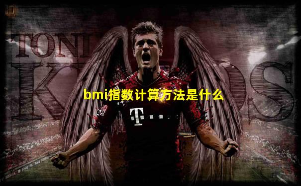 bmi指数计算方法是什么
