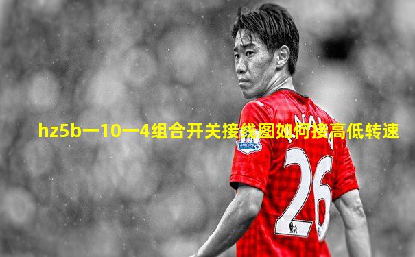 hz5b一10一4组合开关接线图如何接高低转速