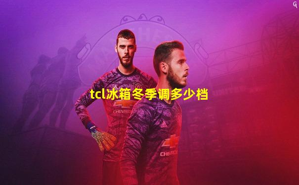 tcl冰箱冬季调多少档