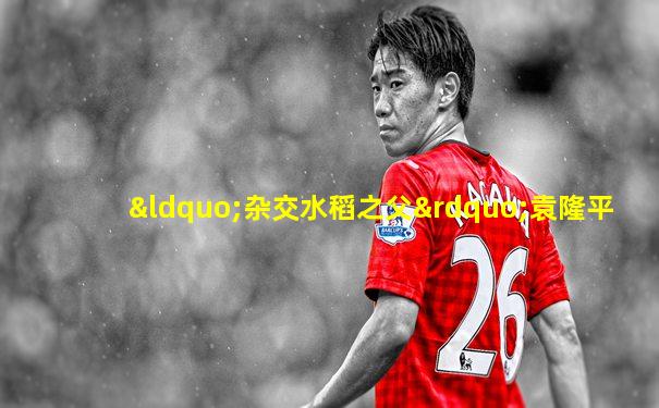 “杂交水稻之父”袁隆平