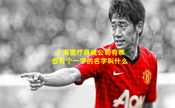 上海医疗器械公司有哪些有个一字的名字叫什么
