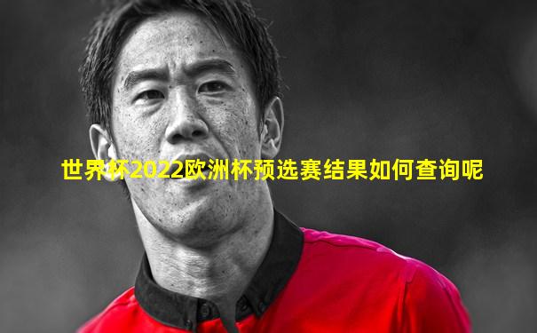 世界杯2022欧洲杯预选赛结果如何查询呢