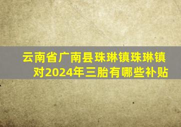 云南省广南县珠琳镇珠琳镇对2024年三胎有哪些补贴
