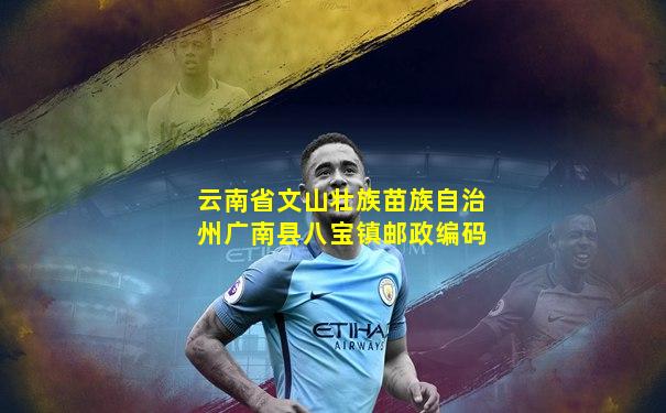 云南省文山壮族苗族自治州广南县八宝镇邮政编码