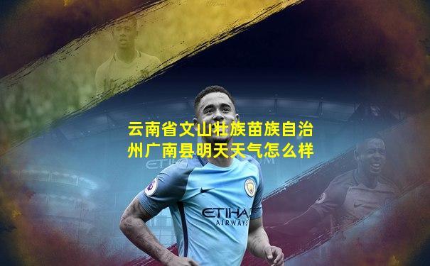 云南省文山壮族苗族自治州广南县明天天气怎么样