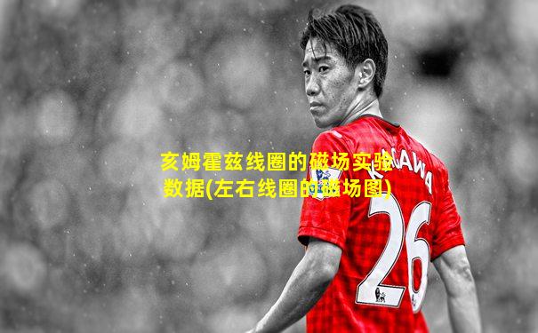 亥姆霍兹线圈的磁场实验数据(左右线圈的磁场图)