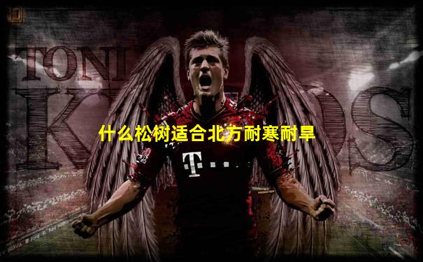 什么松树适合北方耐寒耐旱