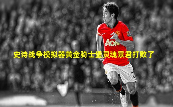 史诗战争模拟器黄金骑士堡灵魂暴君打败了