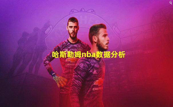 哈斯勒姆nba数据分析