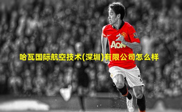 哈瓦国际航空技术(深圳)有限公司怎么样