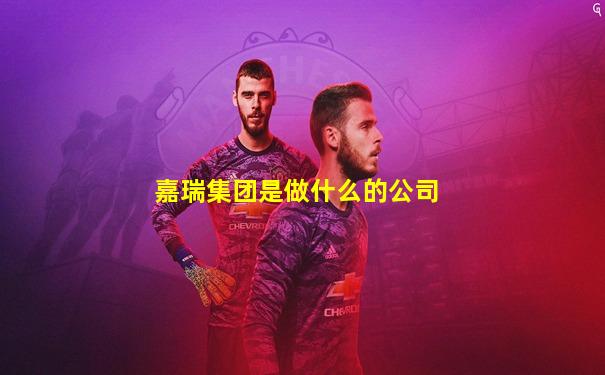 嘉瑞集团是做什么的公司