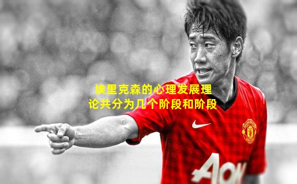 埃里克森的心理发展理论共分为几个阶段和阶段
