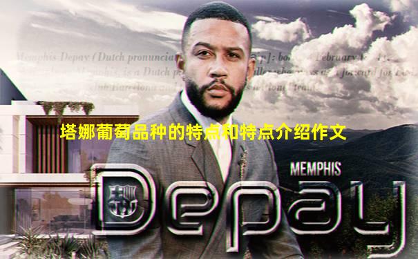 塔娜葡萄品种的特点和特点介绍作文