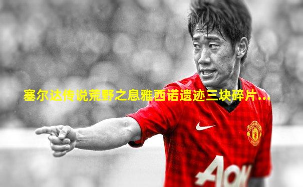 塞尔达传说荒野之息雅西诺遗迹三块碎片...