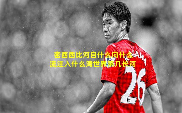 密西西比河自什么向什么流注入什么湾世界第几长河