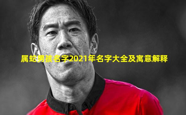 属蛇男孩名字2021年名字大全及寓意解释