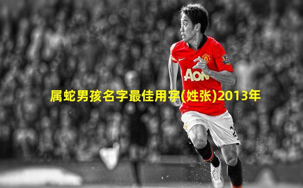 属蛇男孩名字最佳用字(姓张)2013年