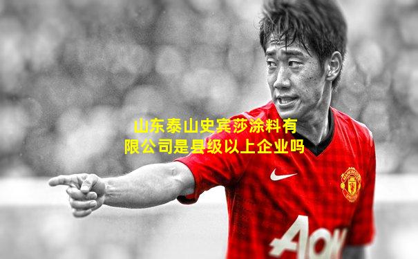 山东泰山史宾莎涂料有限公司是县级以上企业吗