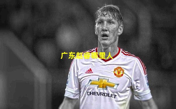 广东赵睿哪里人