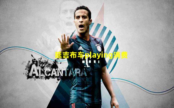 延吉布车playing消费