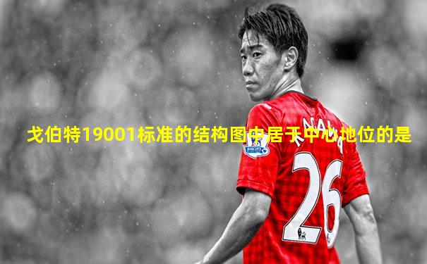 戈伯特19001标准的结构图中居于中心地位的是