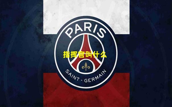 指挥官叫什么