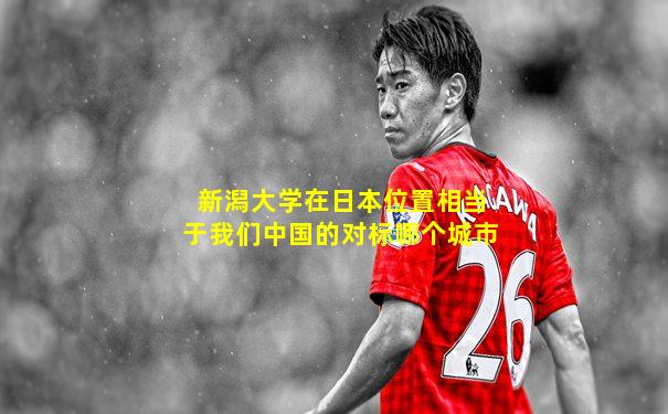 新潟大学在日本位置相当于我们中国的对标哪个城市